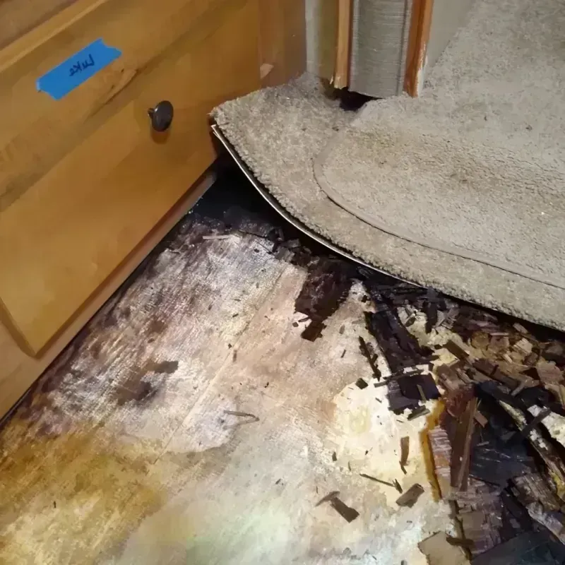 Wood Floor Water Damage in Port Norris, NJ